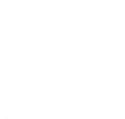 Pesoly Technologies Logo